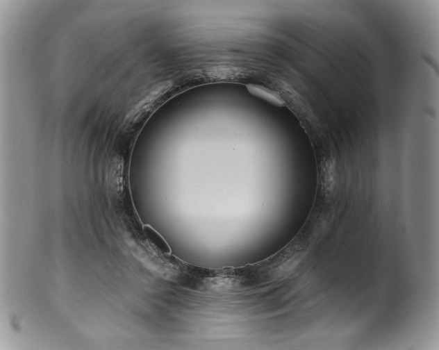 X0000100880356200806201251