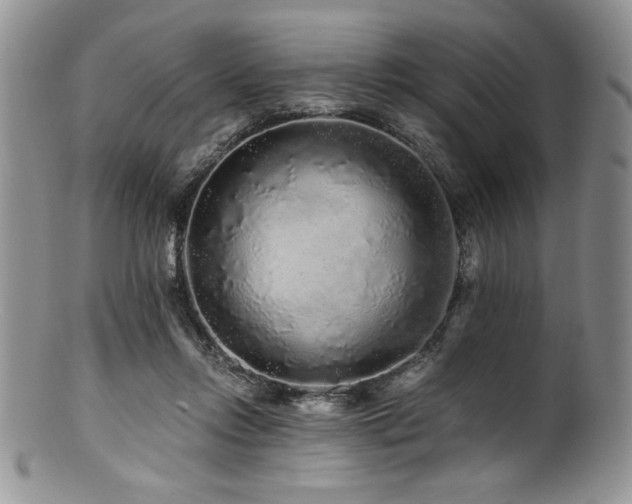 X0000100880358200806201251