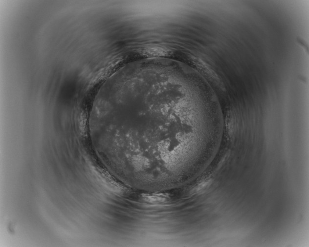 X0000100880359200806201251