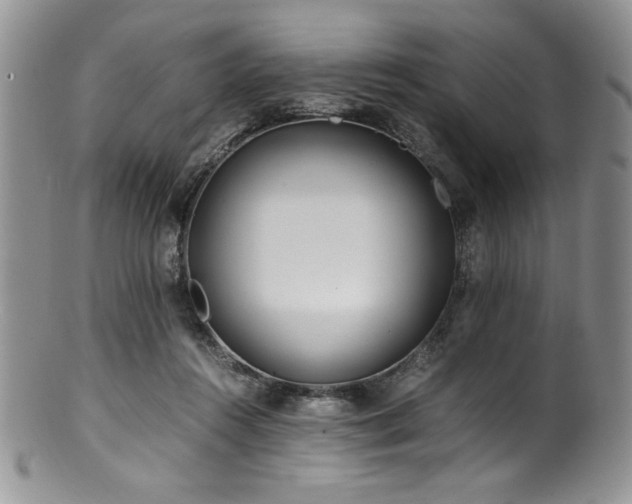 X0000100880360200806201251