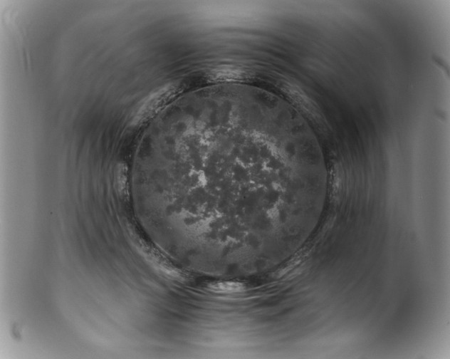 X0000100880361200806201251