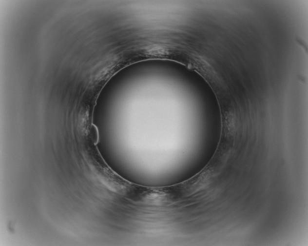 X0000100880364200806201251