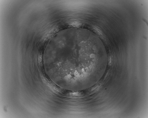 X0000100880365200806201251