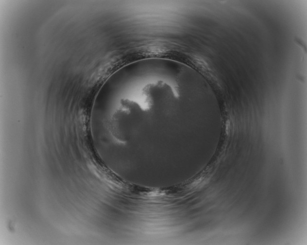 X0000100880366200806201251