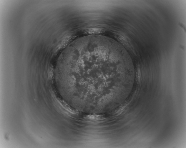 X0000100880367200806201251