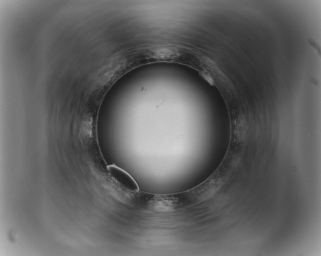 X0000100880368200806201251