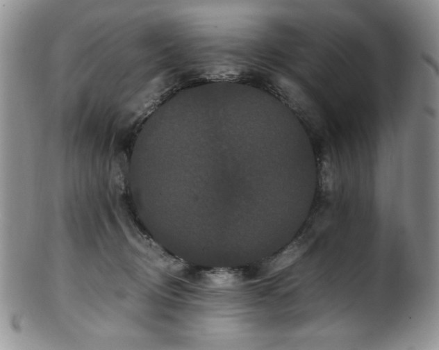 X0000100880370200806201251