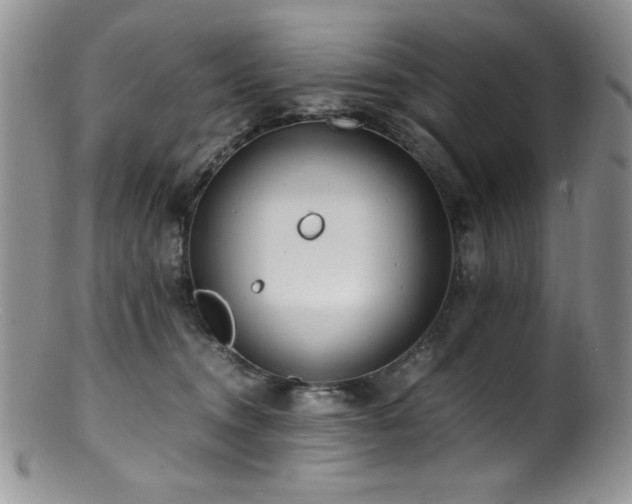 X0000100880372200806201251