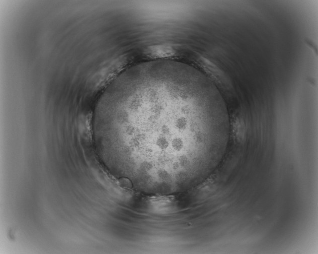 X0000100880373200806201251