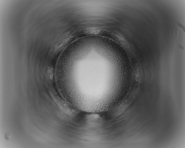 X0000100880374200806201252