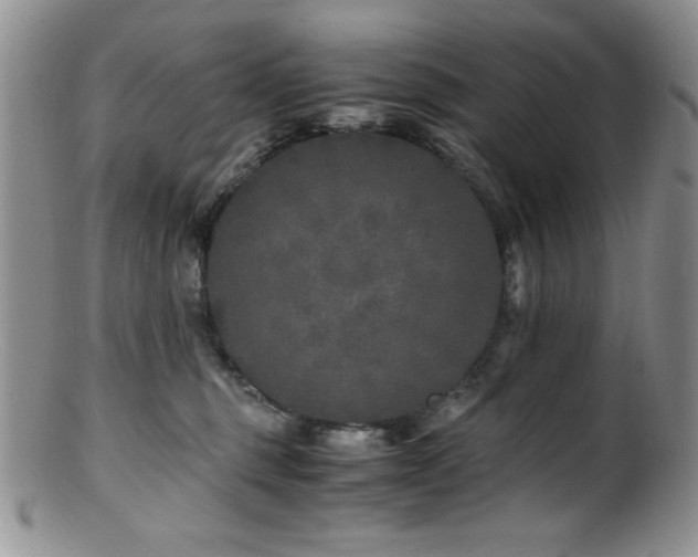 X0000100880375200806201252