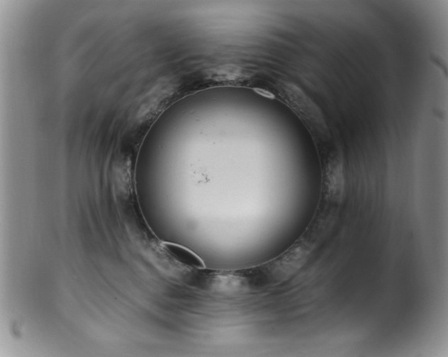 X0000100880376200806201252