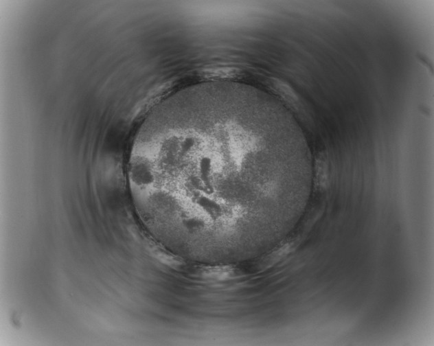 X0000100880377200806201252