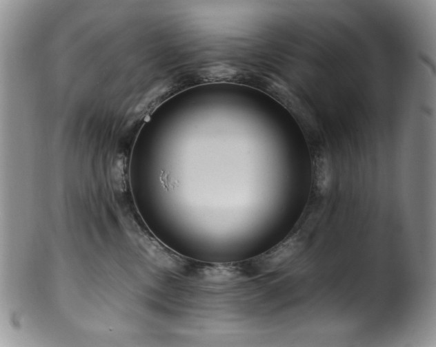 X0000100880378200806201252