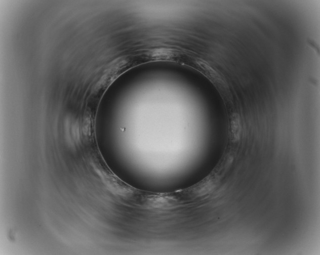 X0000100880379200806201252