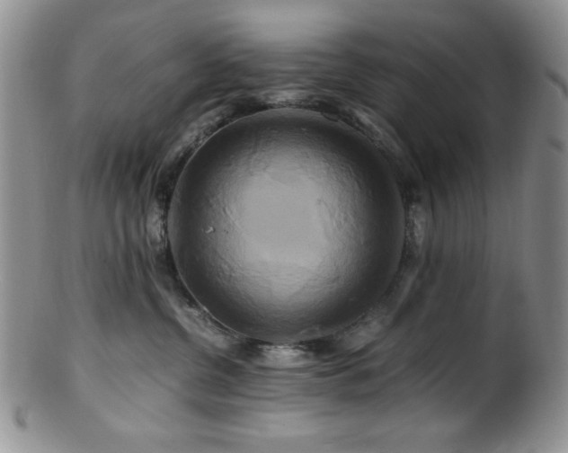 X0000100880380200806201252