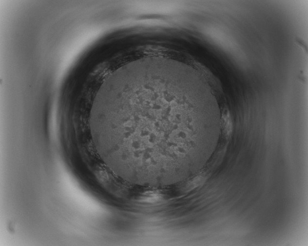 X0000100880381200806201252