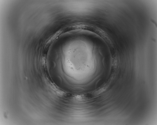 X0000100880382200806201252