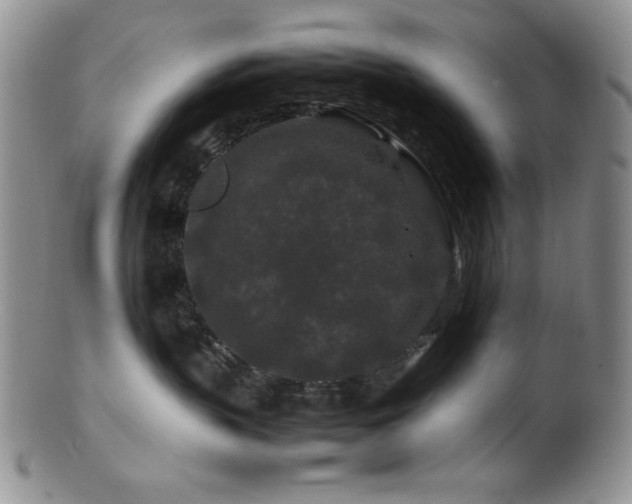 X0000100880383200806201252