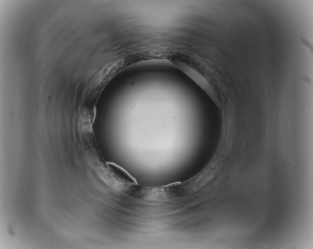 X0000100880384200806201252