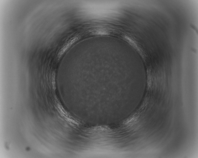 X0000100880386200806201251