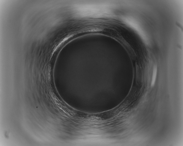 X0000100880387200806201251