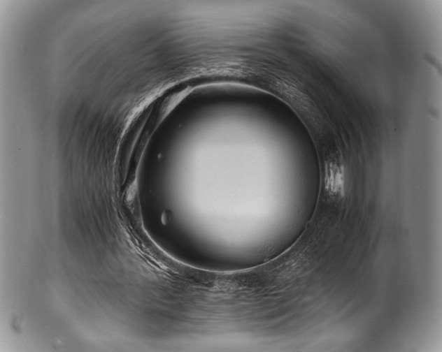 X0000100880388200806201251