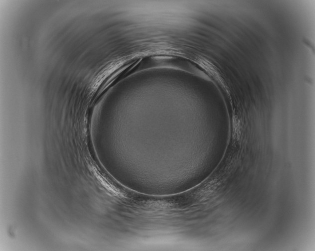 X0000100880389200806201251