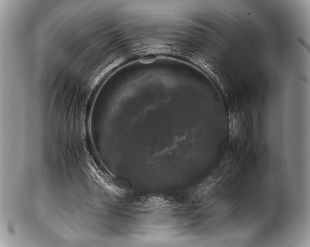 X0000100880390200806201251