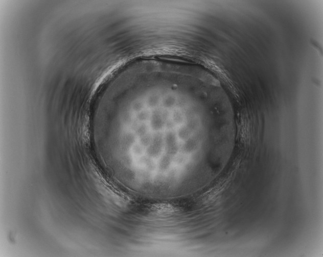 X0000100880392200806201251