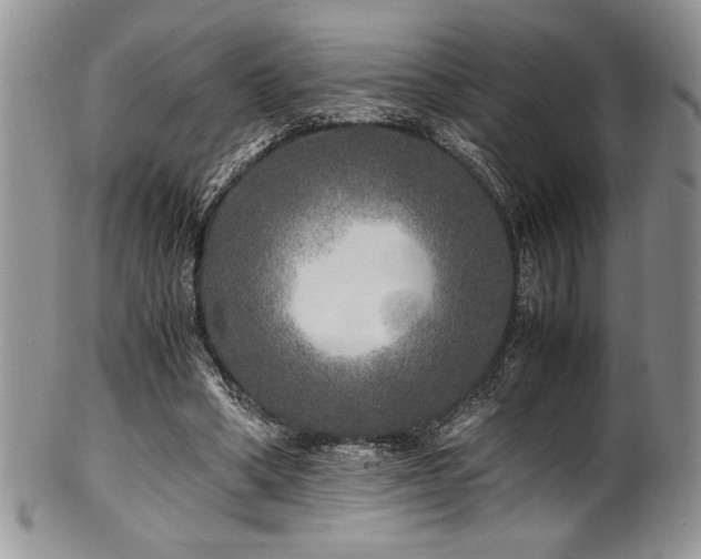 X0000100880394200806201251