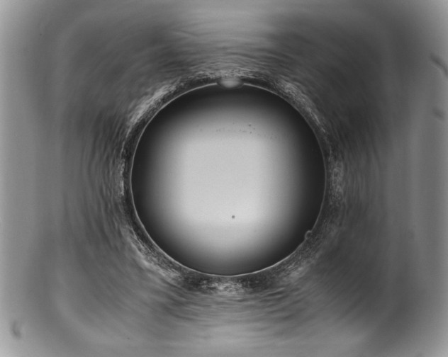 X0000100880395200806201251