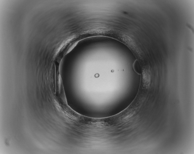 X0000100880396200806201251