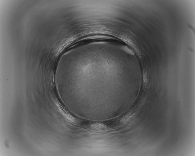 X0000100880397200806201251