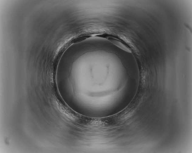 X0000100880399200806201251