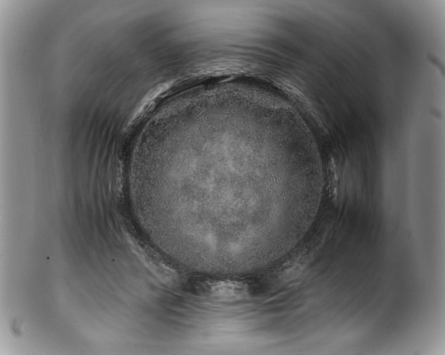 X0000100880400200806201251