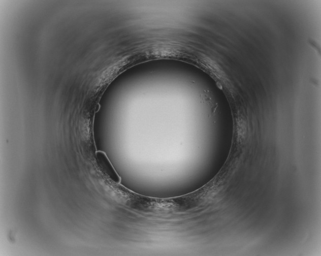 X0000100880401200806201251