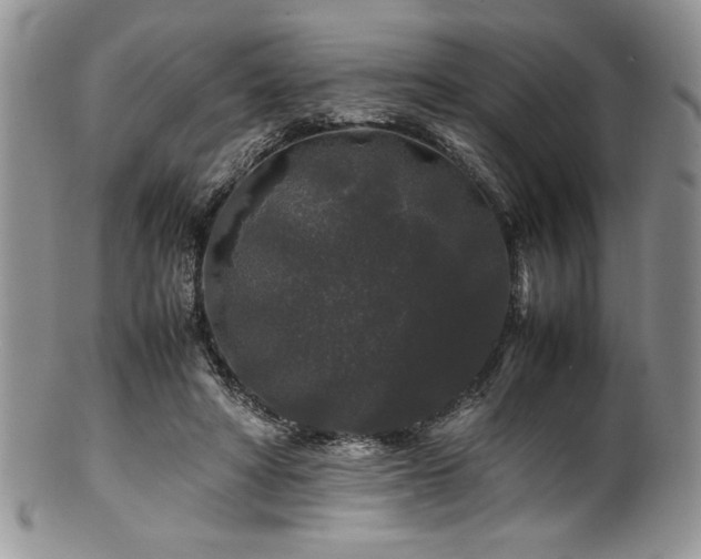 X0000100880402200806201251