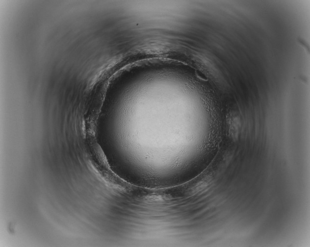 X0000100880404200806201251