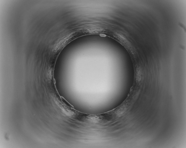 X0000100880405200806201251