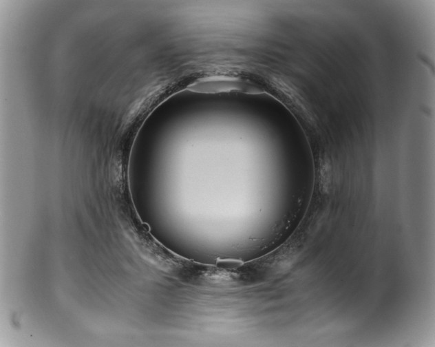 X0000100880407200806201251