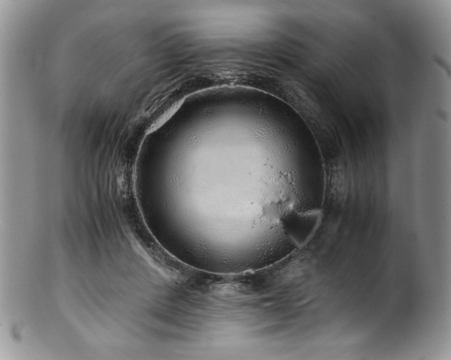 X0000100880408200806201251