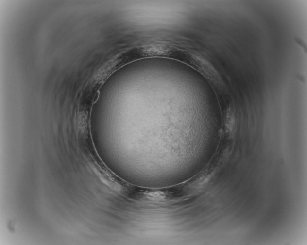 X0000100880409200806201251