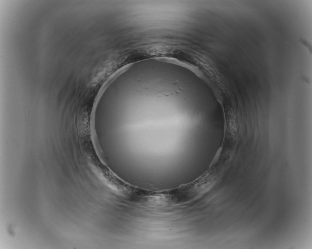 X0000100880411200806201251