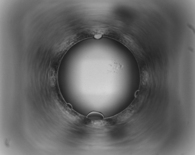 X0000100880414200806201251