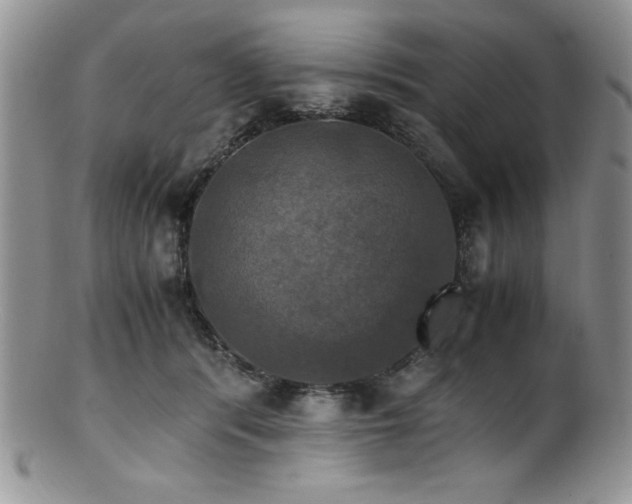 X0000100880416200806201251