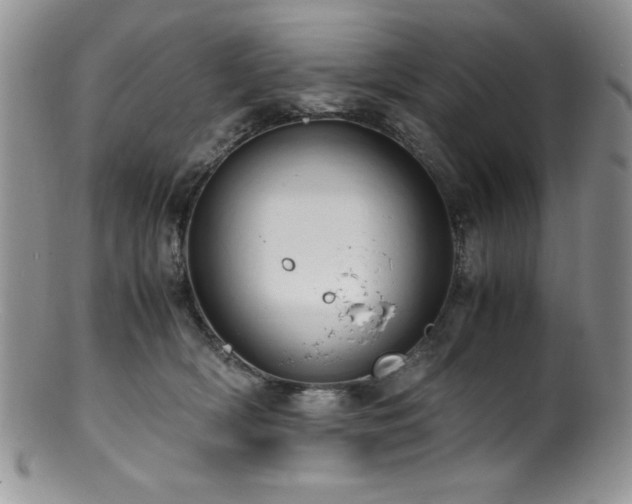 X0000100880418200806201251