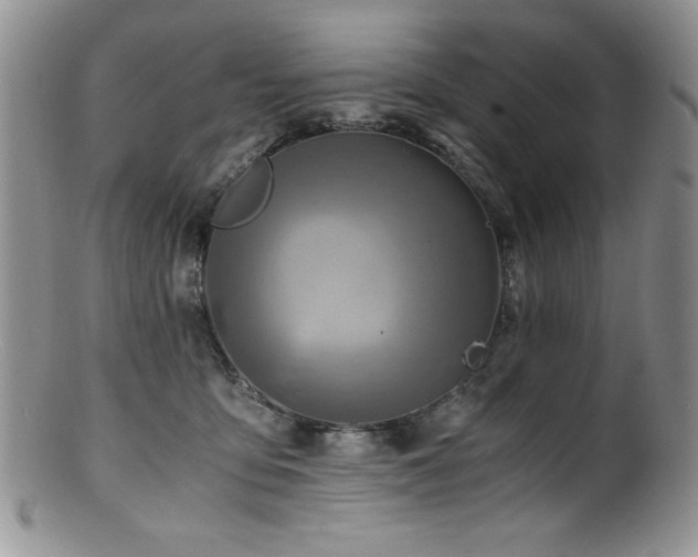 X0000100880419200806201250