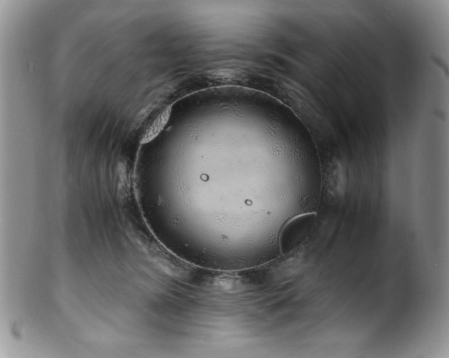 X0000100880420200806201250