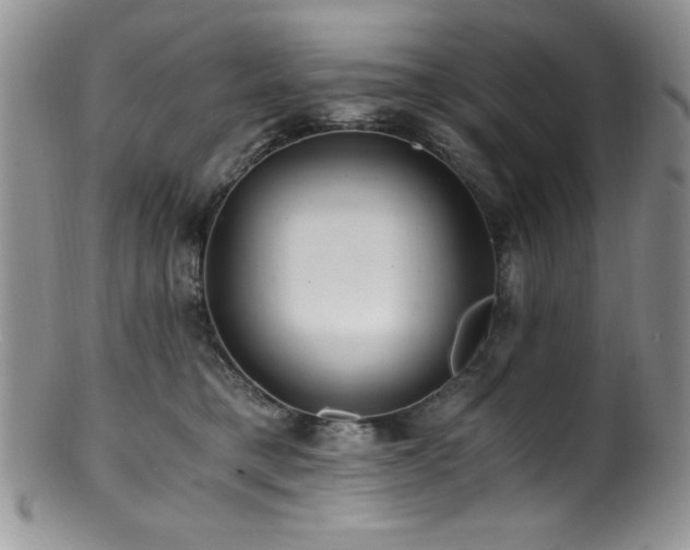 X0000100880421200806201250